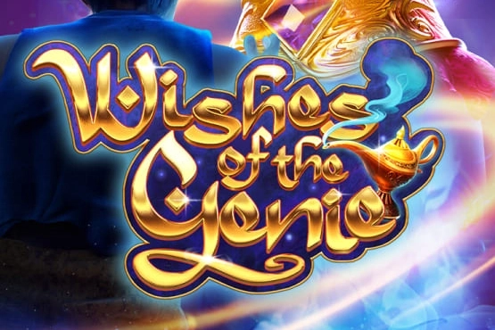 14511 wishes of the genie
